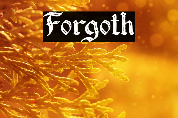 Forgoth Example 1