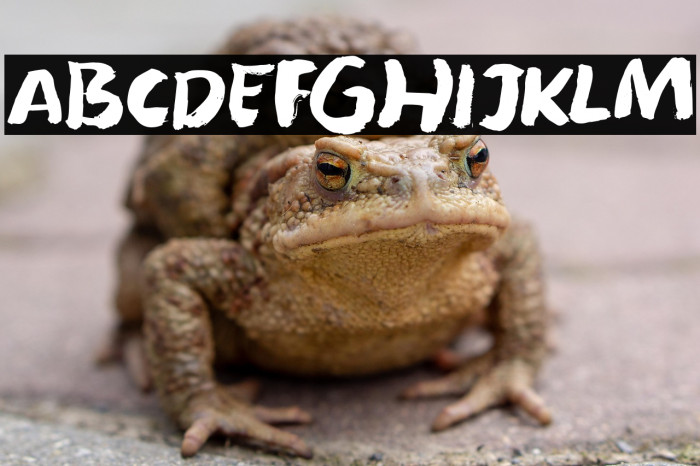 Forgotten Dream DEMO Regular Example 3