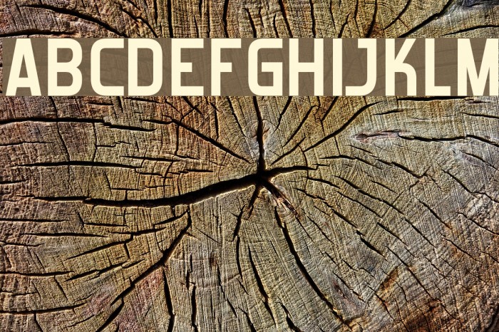 Forgotten Futurist Bold Font examples