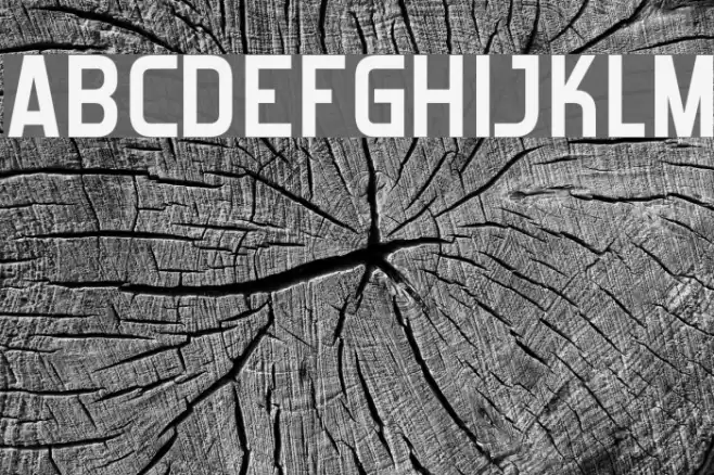 Forgotten Futurist Bold Шрифта examples