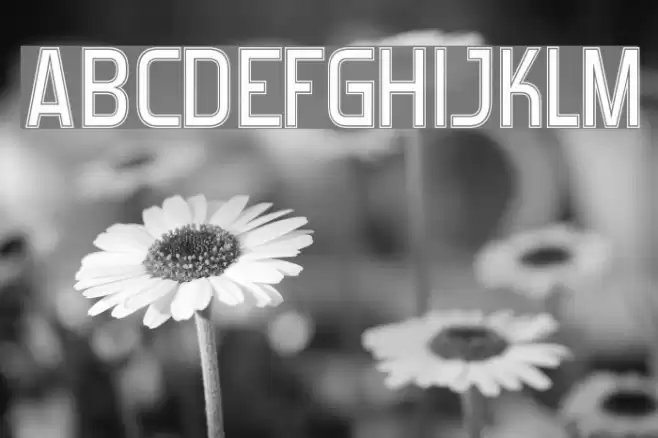 Forgotten Futurist College Font examples