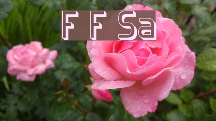 Forgotten Futurist Shadow Font examples
