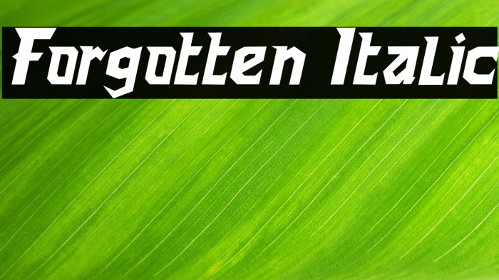 Forgotten Italic Example 3