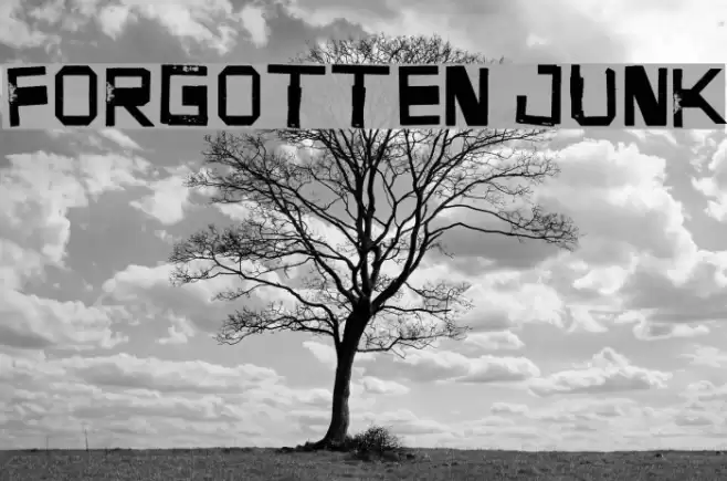 Forgotten Junk Fonte examples