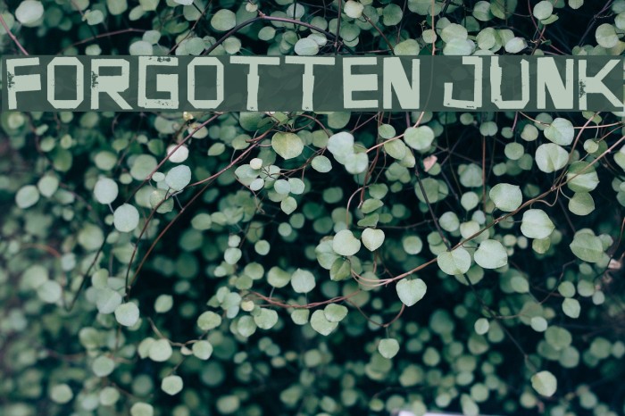 Forgotten Junk Font examples