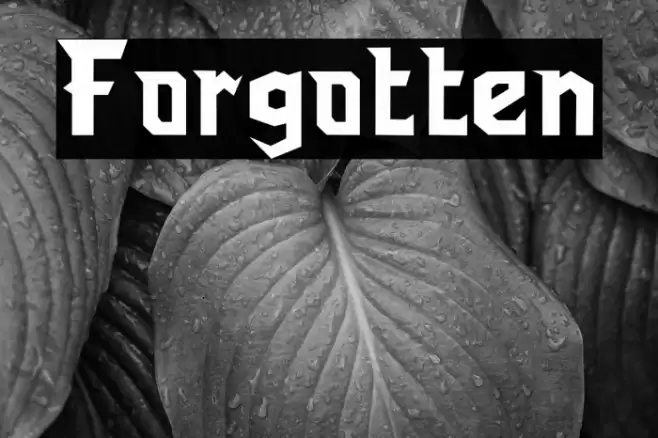 Forgotten Font examples