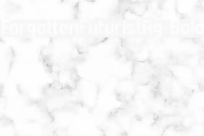 ForgottenFuturistRg-Bold Font examples