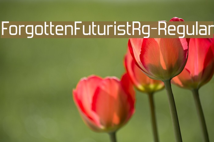 ForgottenFuturistRg-Regular Caratteri examples