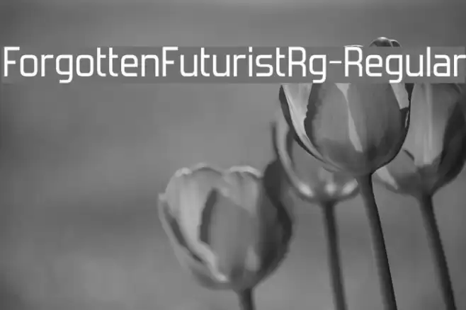 ForgottenFuturistRg-Regular Caratteri examples