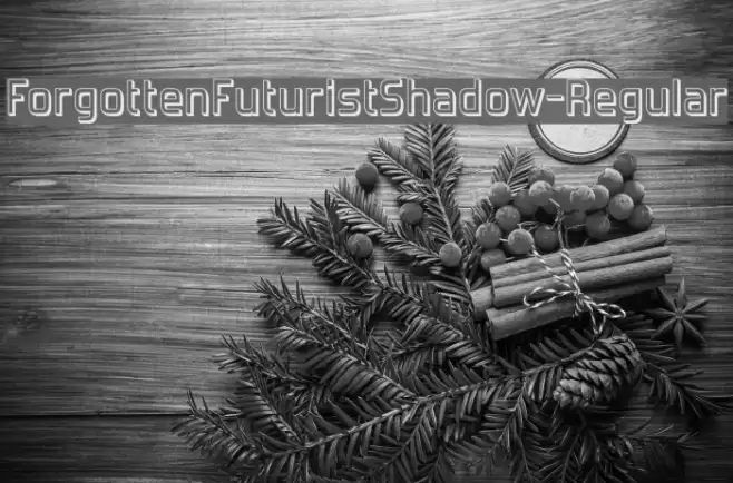 ForgottenFuturistShadow-Regular Font examples