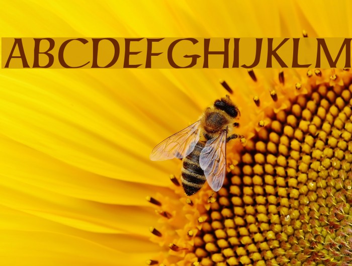 ForgottenUncial Font examples