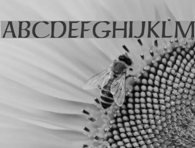 ForgottenUncial Шрифта examples