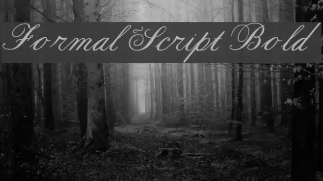 Formal Script Bold Font examples