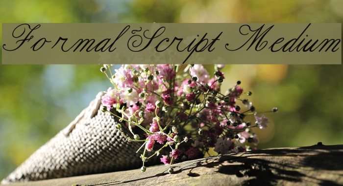 Formal Script Medium Font examples