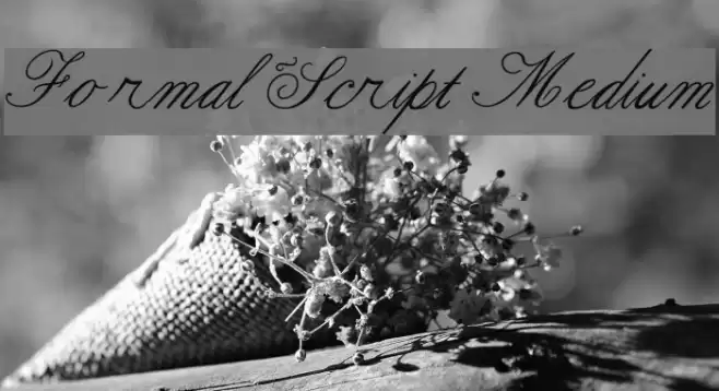 Formal Script Medium Font examples