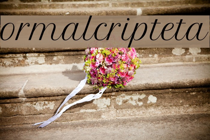 FormalScriptBeta Font examples