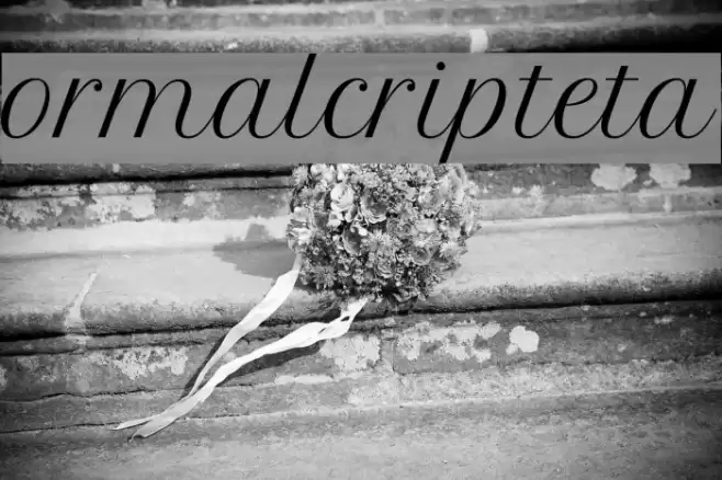 FormalScriptBeta Schriftart examples
