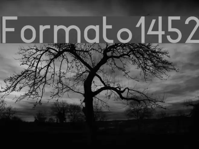 Format_1452 Font examples