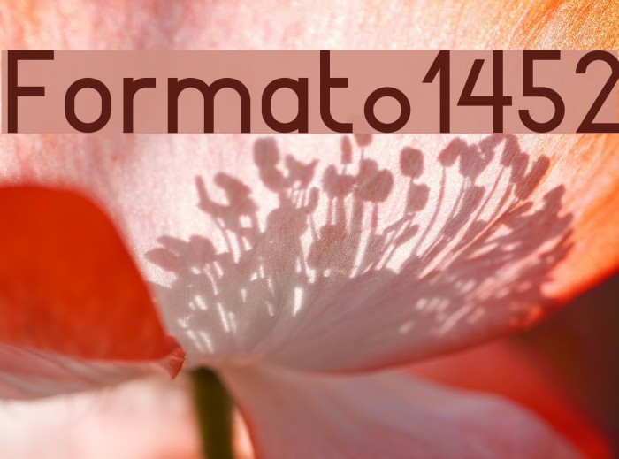 Format_1452 Fonte examples