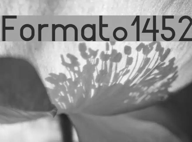 Format_1452 Font examples