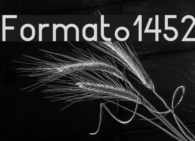 Format_1452 Font examples