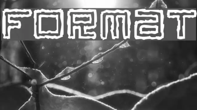 Format Font examples