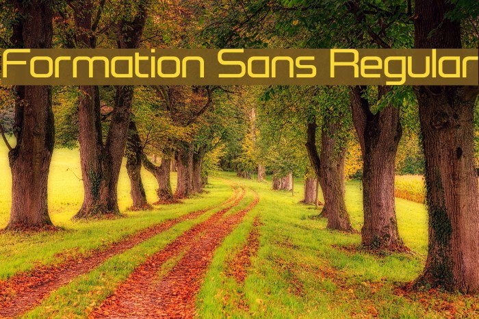 Formation Sans Regular Font examples