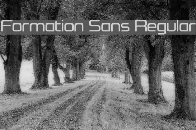 Formation Sans Regular Font examples