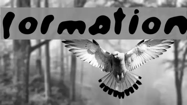 Formation Font examples