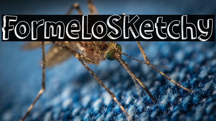 Formelo Sketchy Example 1