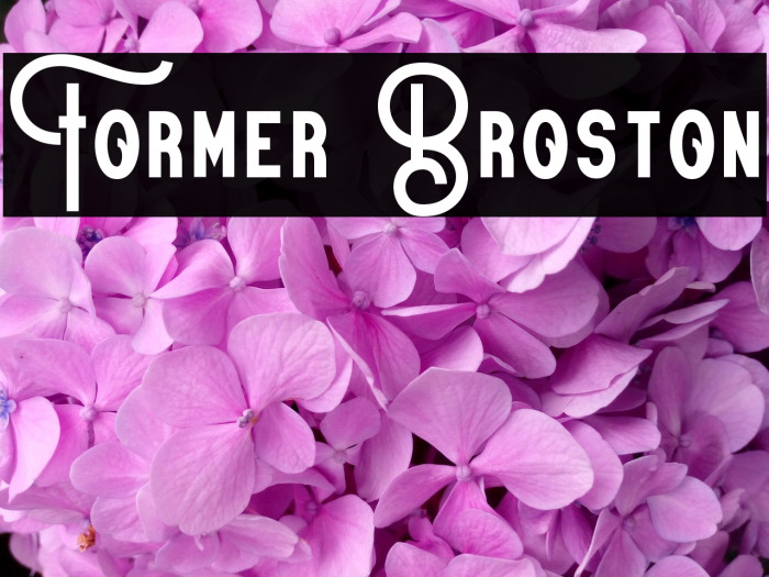 Former Broston Example 1