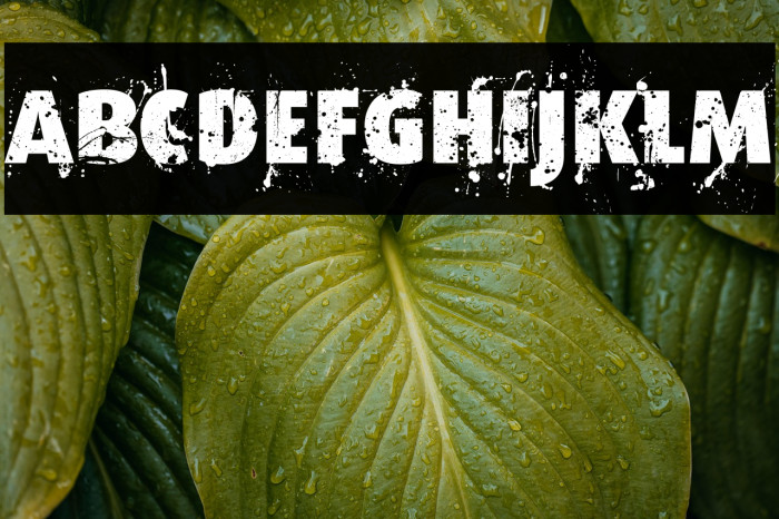 Formfound.com Example 1