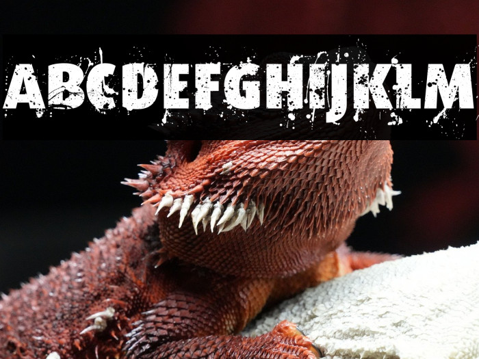 Formfound.com Example 2