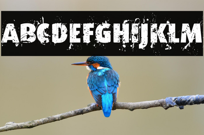 Formfound.com Example 3