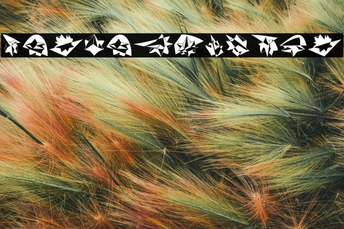 Formo Regular Example 3