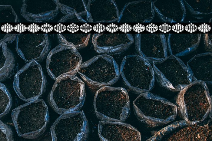 Formogram Regular Example 3