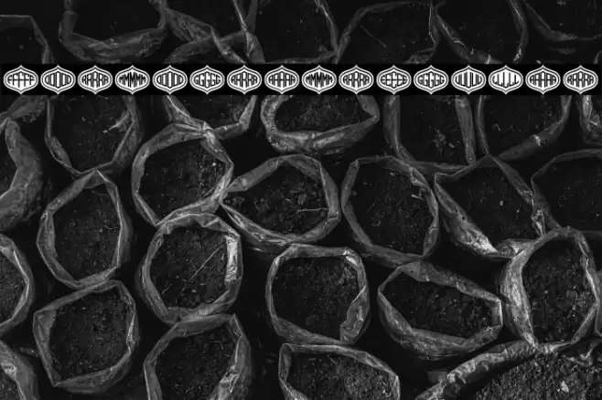 Formogram Regular Font examples