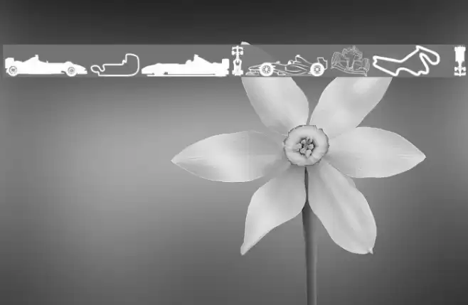 Formula 1 Font examples