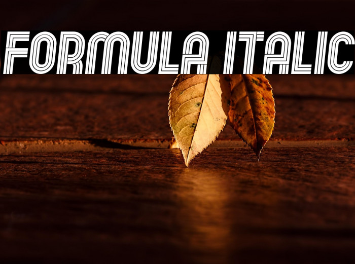 Formula Italic Example 2