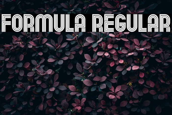 Formula Regular Example 2