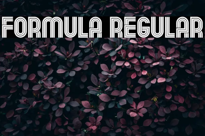 Formula Regular Example 2