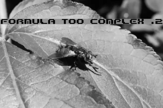 Formula too complex .2 Шрифта examples