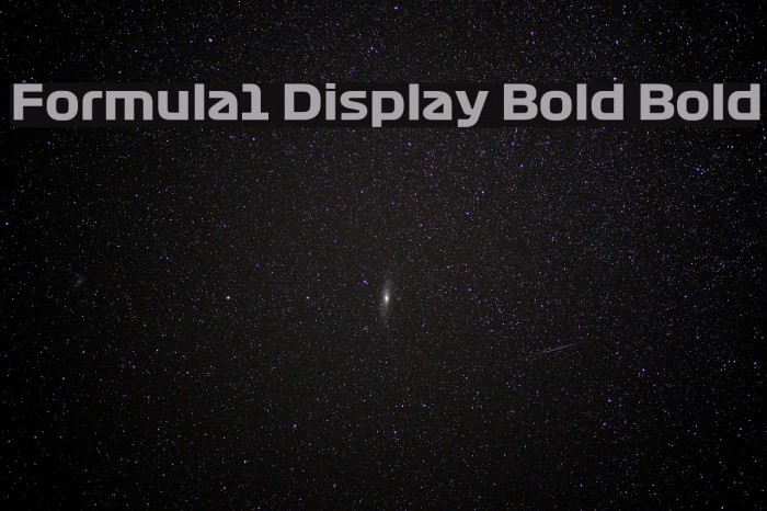 Formula1 Display Bold Bold Font examples