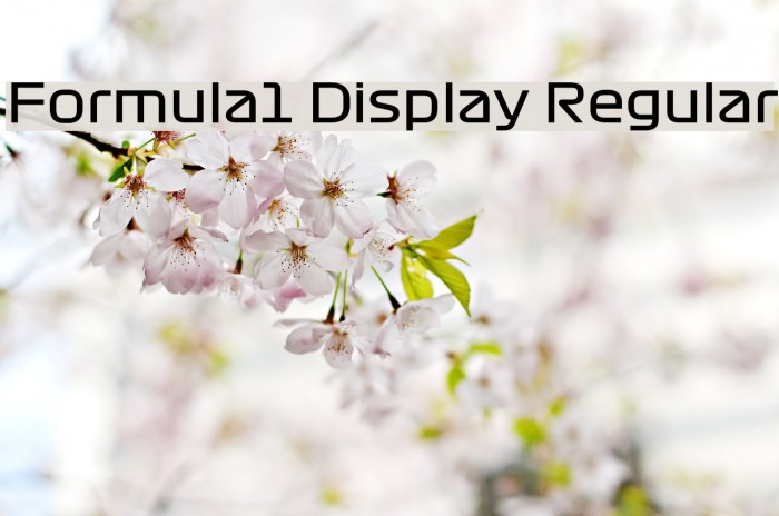 Formula1 Display Regular Шрифта examples