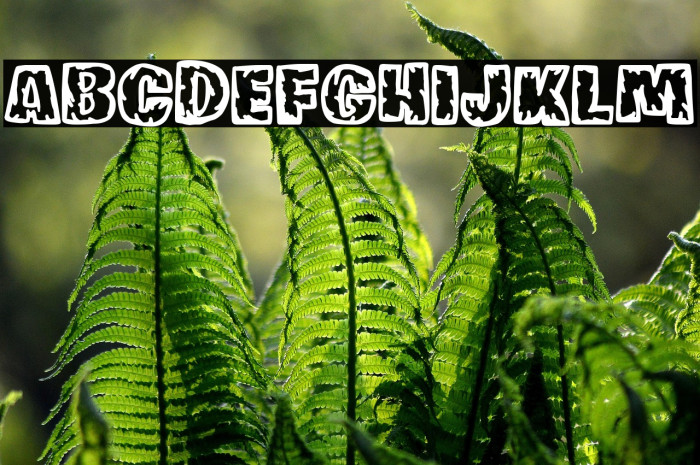 Fornicador Antiguo Example 3