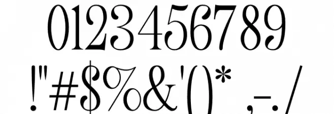 Fornire Light Font OTHER CHARS