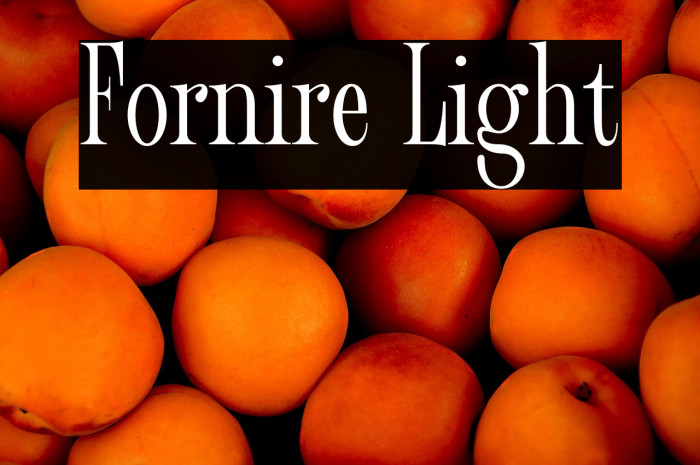 Fornire Light Example 1