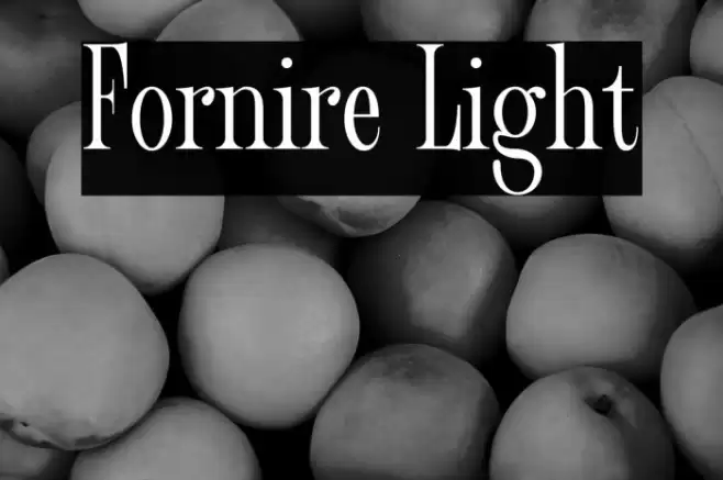 Fornire Light Font examples