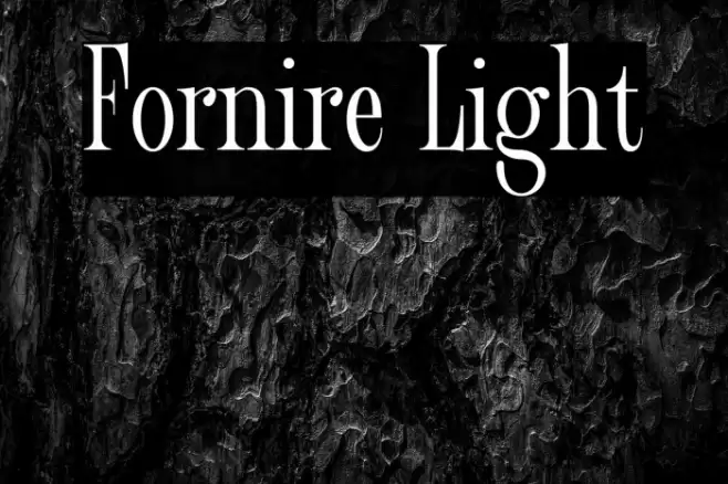 Fornire Light Font examples