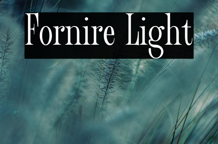 Fornire Light Example 3